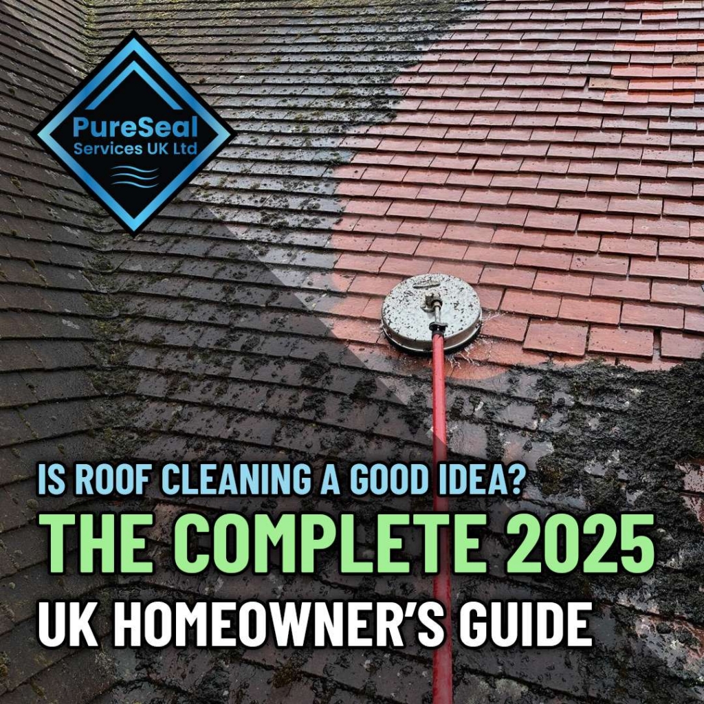 Is-Roof-Cleaning-a-Good-Idea