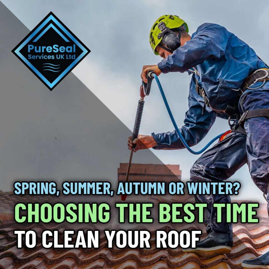 Spring,-Summer,-Autumn-or-Winter-Choosing-the-Best-Time-to-Clean-Your-Roof