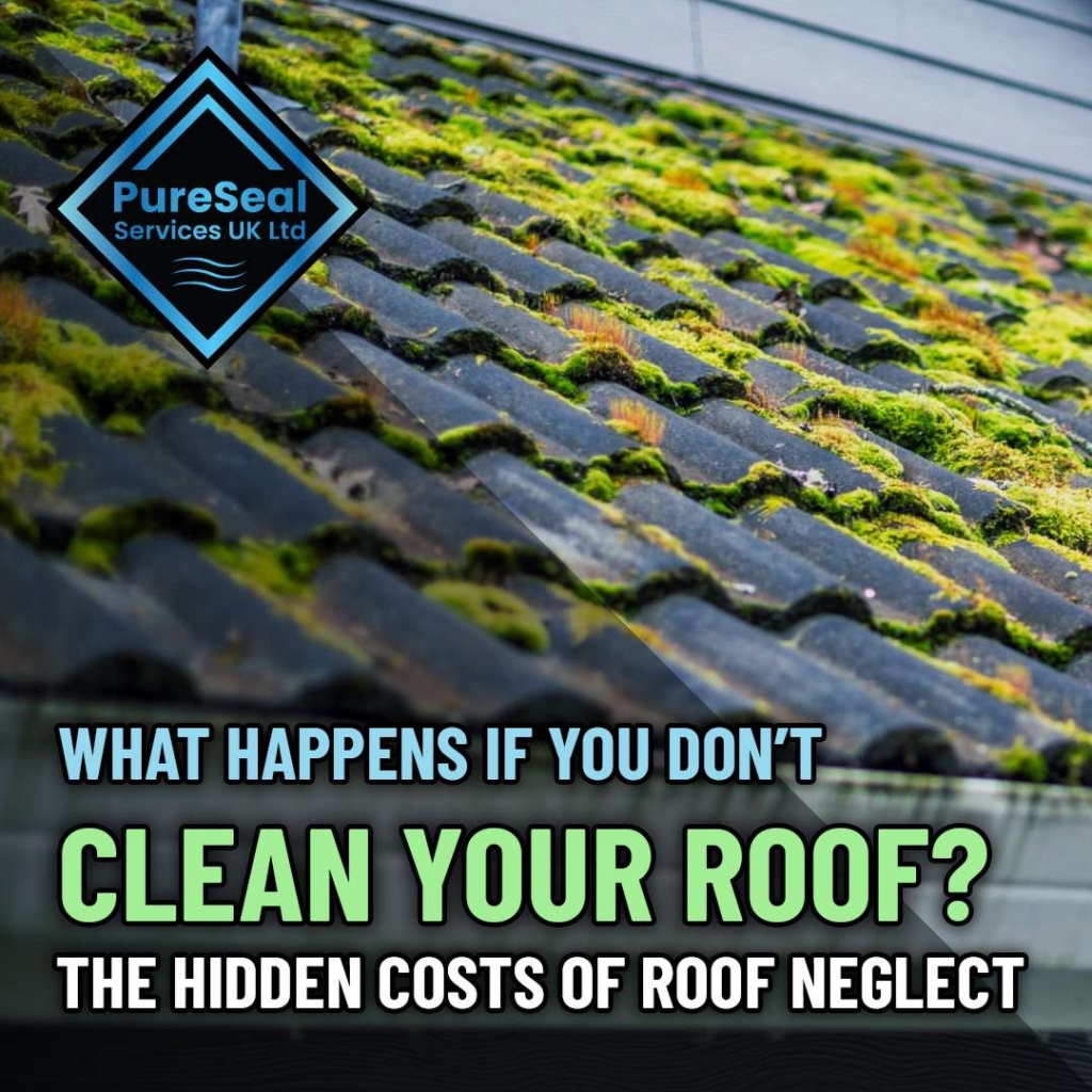 What-Happens-If-You-Dont-Clean-Your-Roof-The-Hidden-Costs-of-Roof-Neglect