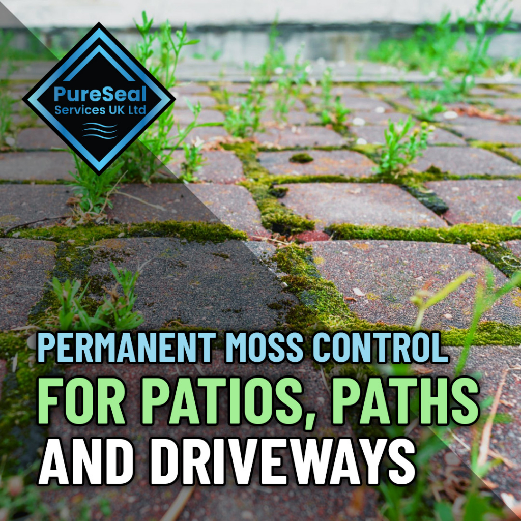 Permanent-Moss-Control-for-Patios-Paths-and-Driveways