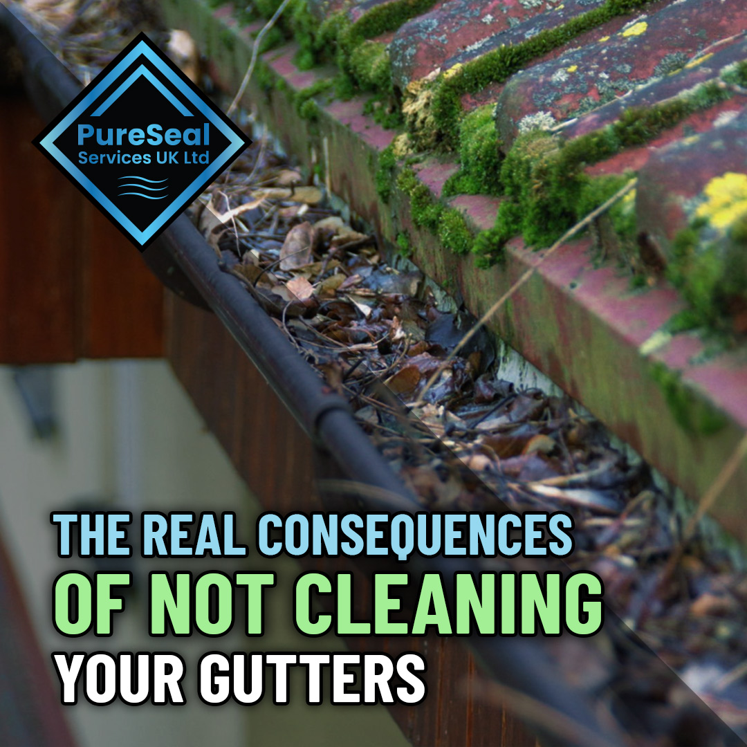 The-Real-Consequences-of-Not-Cleaning-Your-Gutters