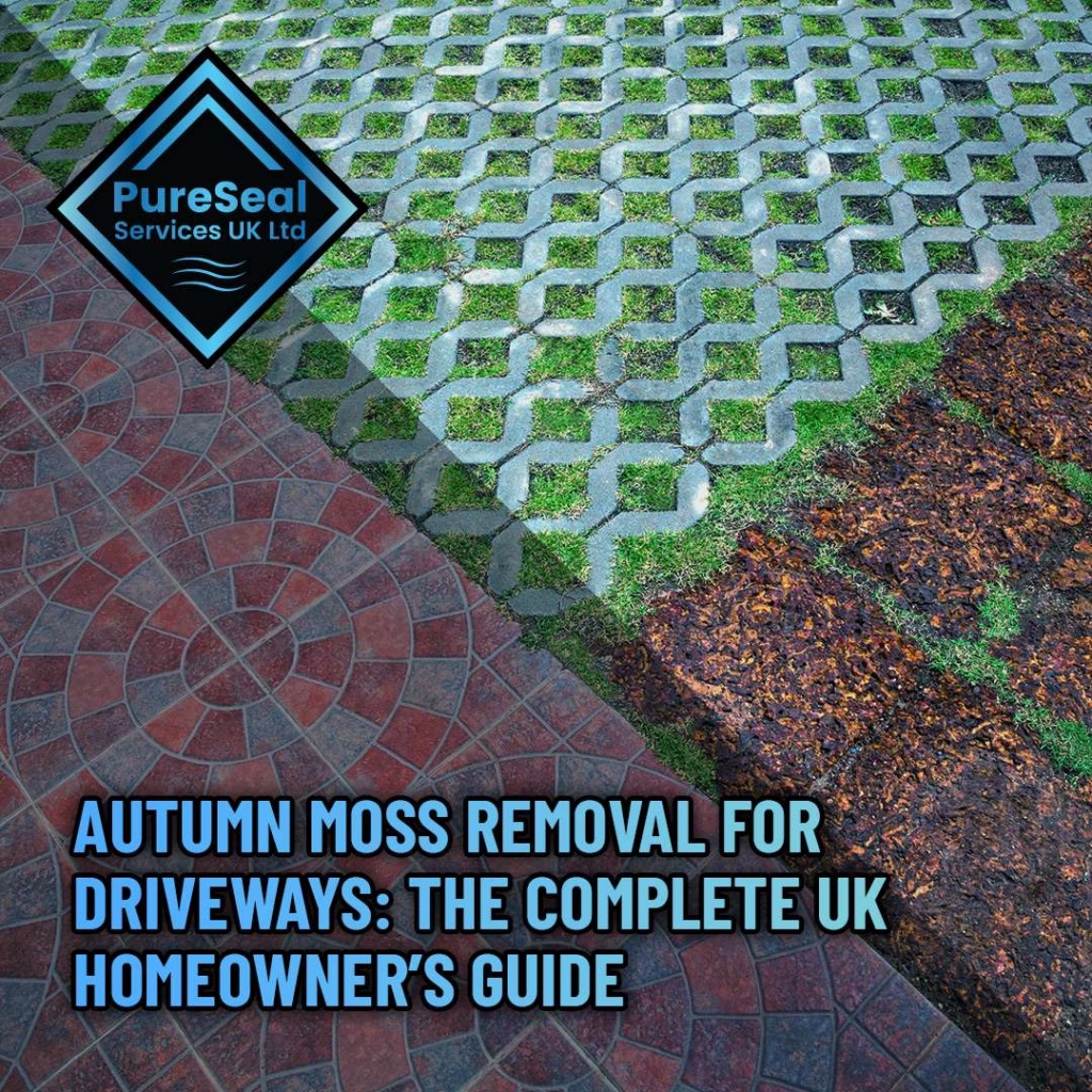 Autumn-Moss-Removal-for-Driveways